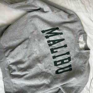 Brandy melville sweatshirt